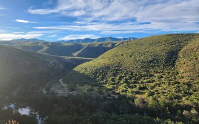 Blog 4 TRANS KOUGA WILDERNESS TOUR – 18 TO 28 APRIL 2025